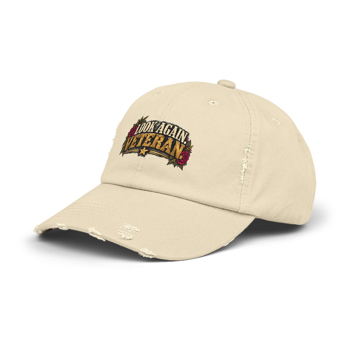 Look Again, Veteran | Distressed Veteran Cap