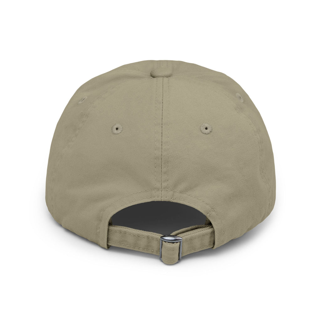 Look Again, Veteran | Distressed Veteran Cap